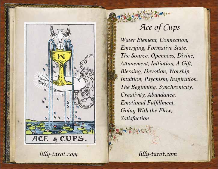 Ace of Cups: Intuition, A Gift, Openness, Abundance Meaning of Ace of Cups