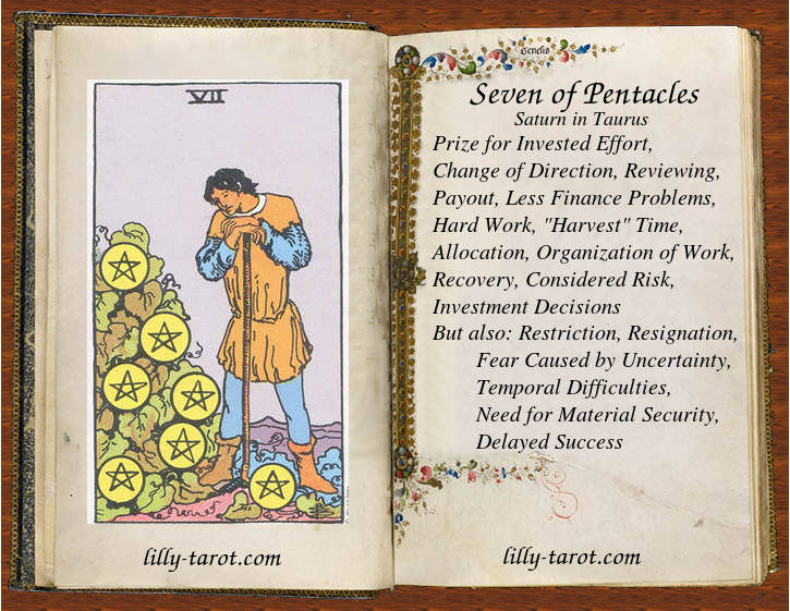 Meaning of Seven of Pentacles